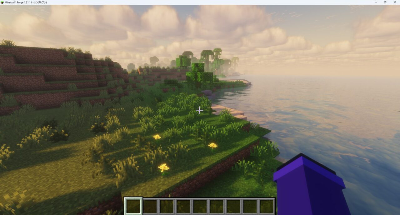 「Solas Shader」の導入完了