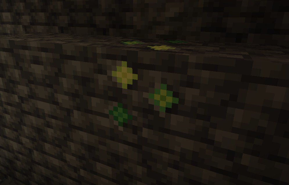 経験値MOD「Exp Ores」の入れ方5