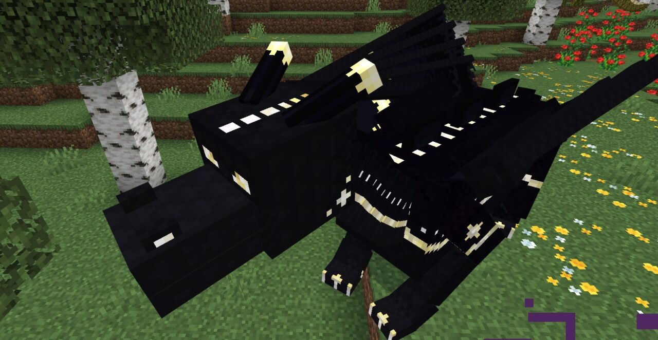 ドラゴンアドオン「Dragon Mounts 2」のドラゴン3