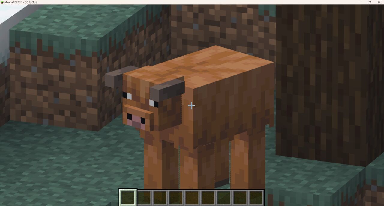 「WI Zoom」の動作確認