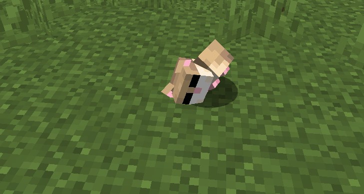 「Hamsters Plus Lite」の動作確認