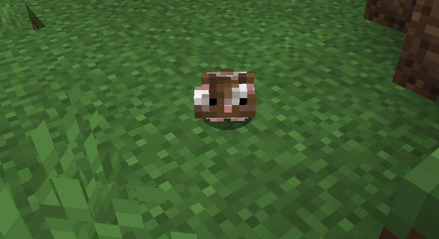 「Adorable Hamster Pets」の動作確認