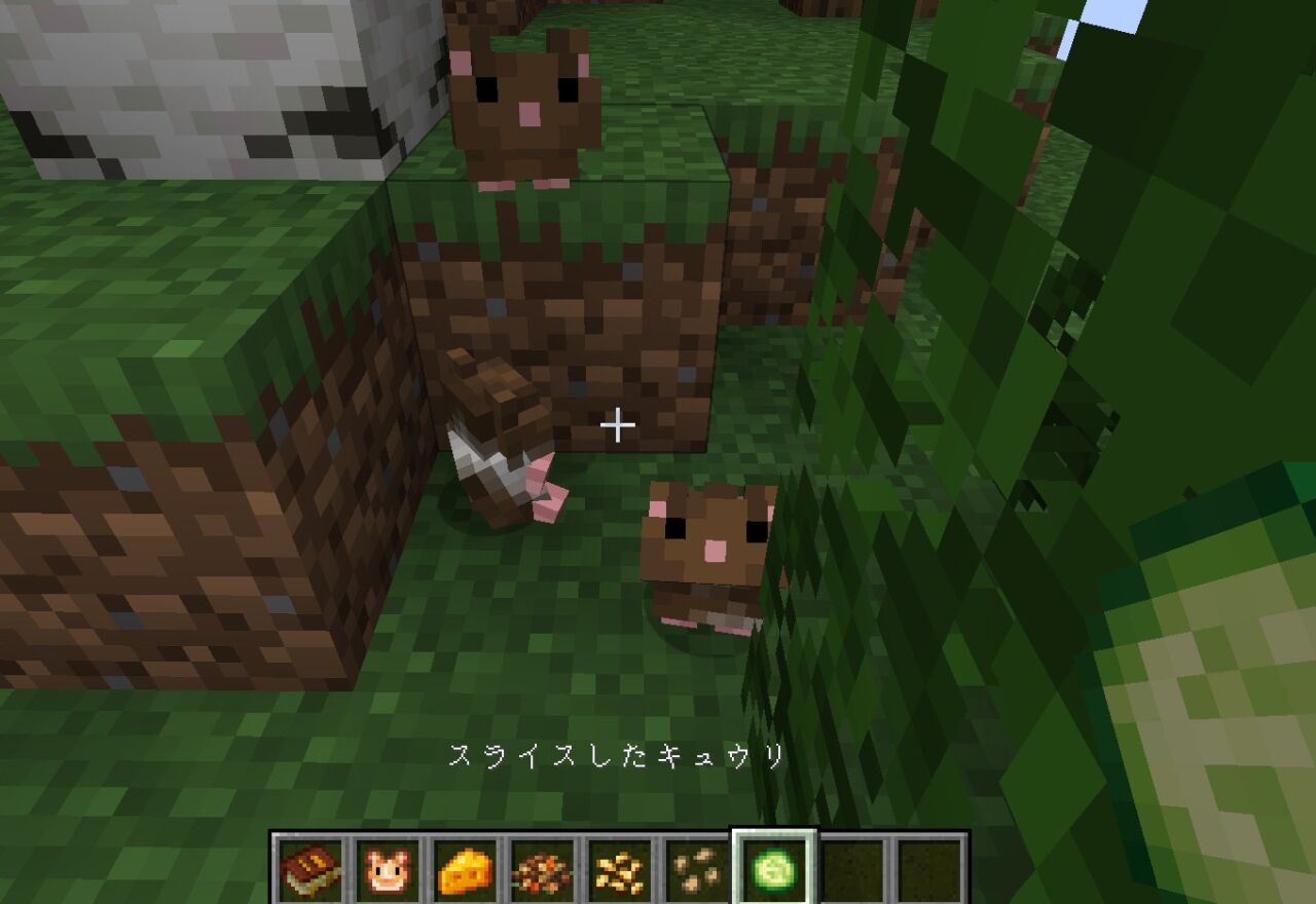 ハムスターMOD「Adorable Hamster Pets」の特徴2