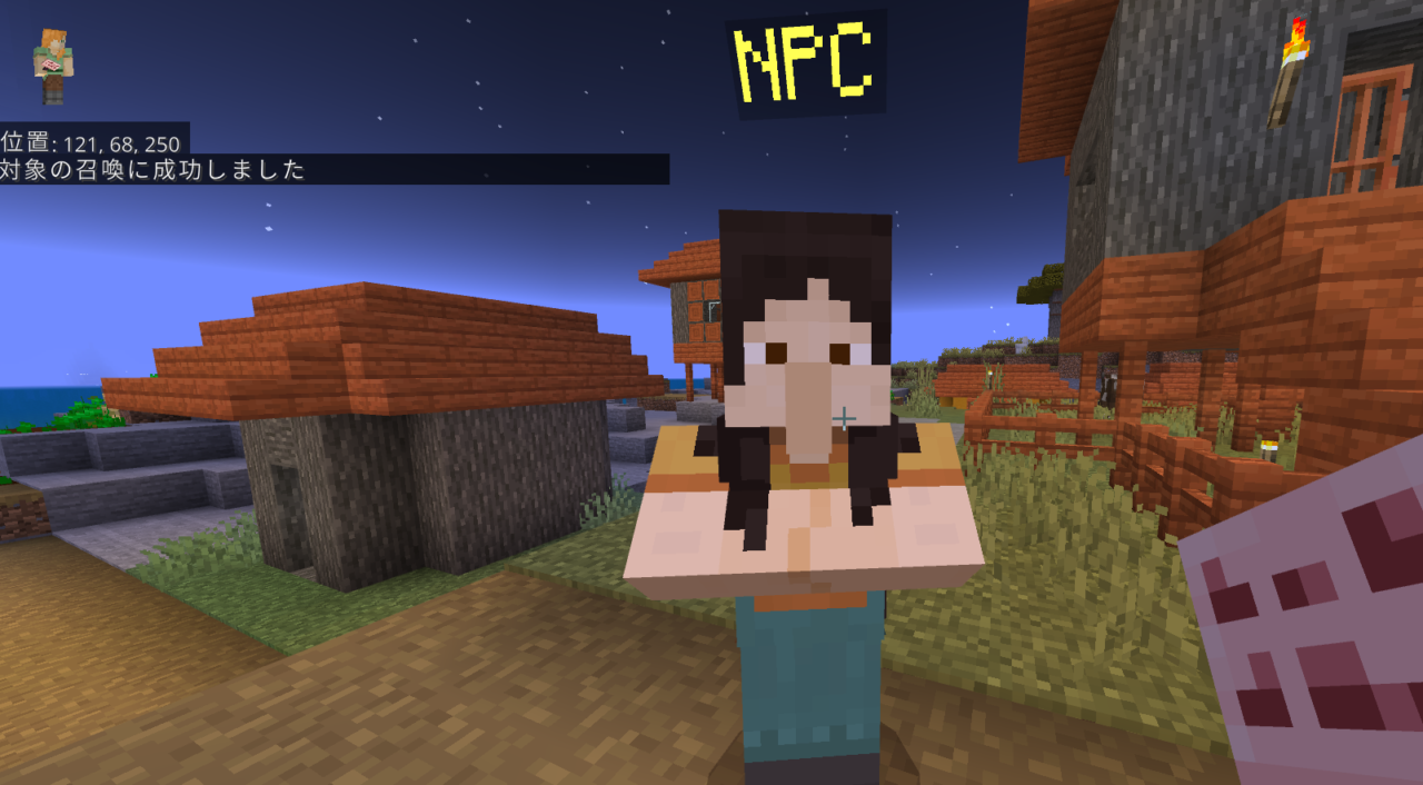 マイクラNPCコマンド