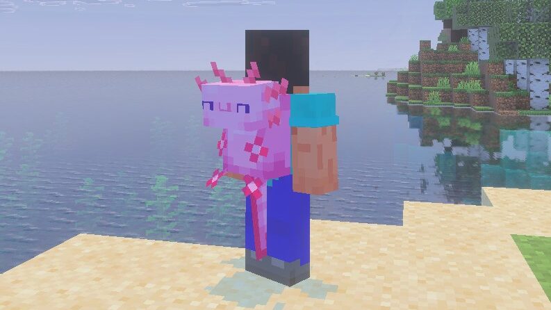 マイクラのバックパックアドオン