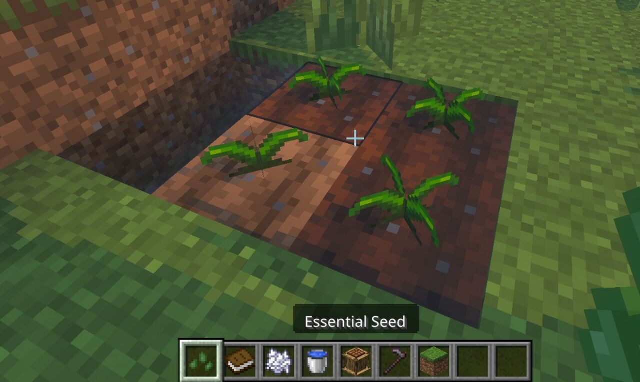 耕地に植えてEssential Essenceを集める