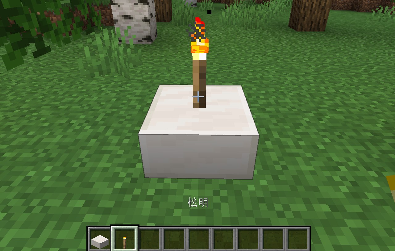 Torch Slabs Modの動作確認シーン