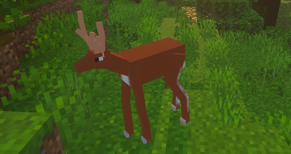 The More Animals Project導入後にワールドへ出現した実在動物