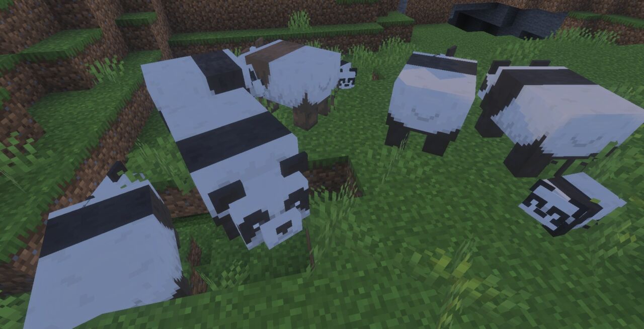 【マイクラ】パンダが繁殖できない