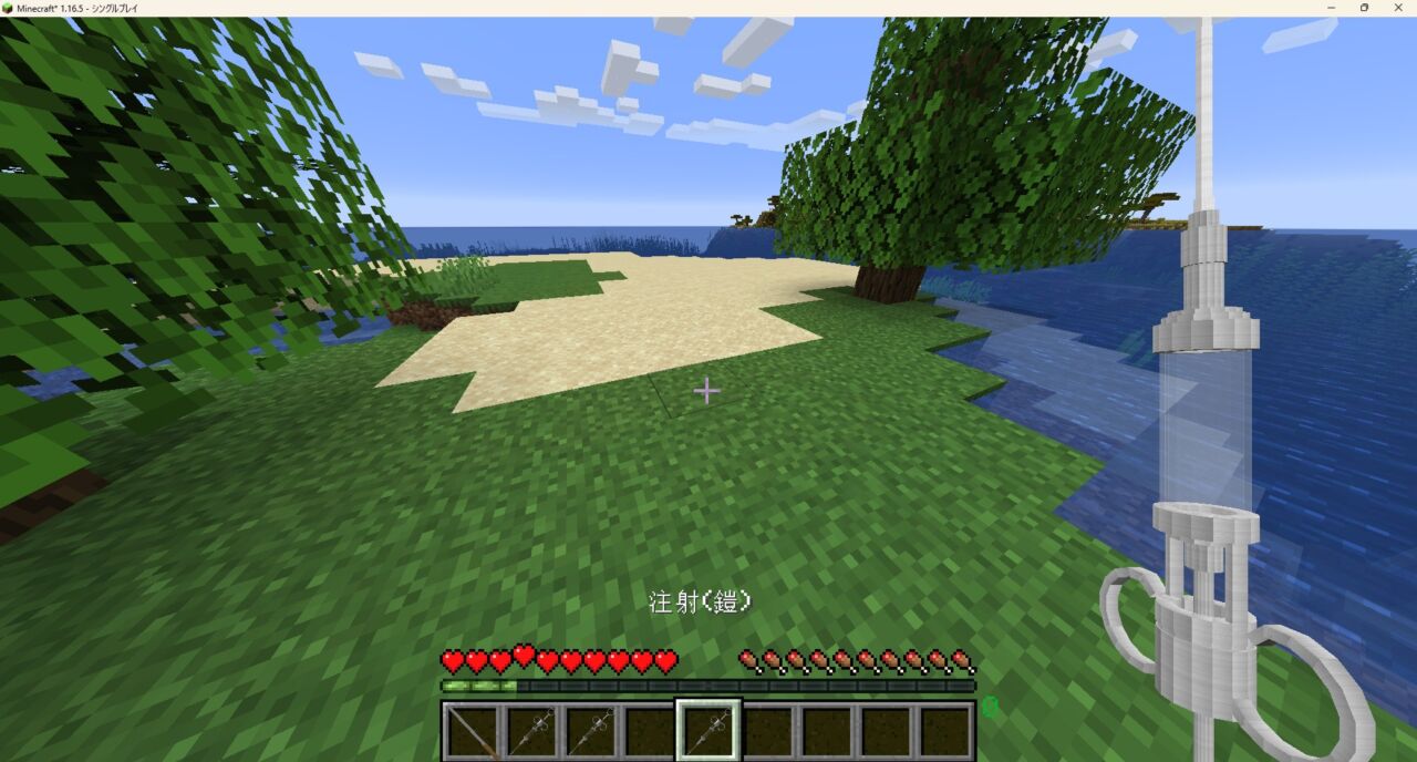 進撃の巨人MODで巨人化に使う注射アイテムを使用する様子