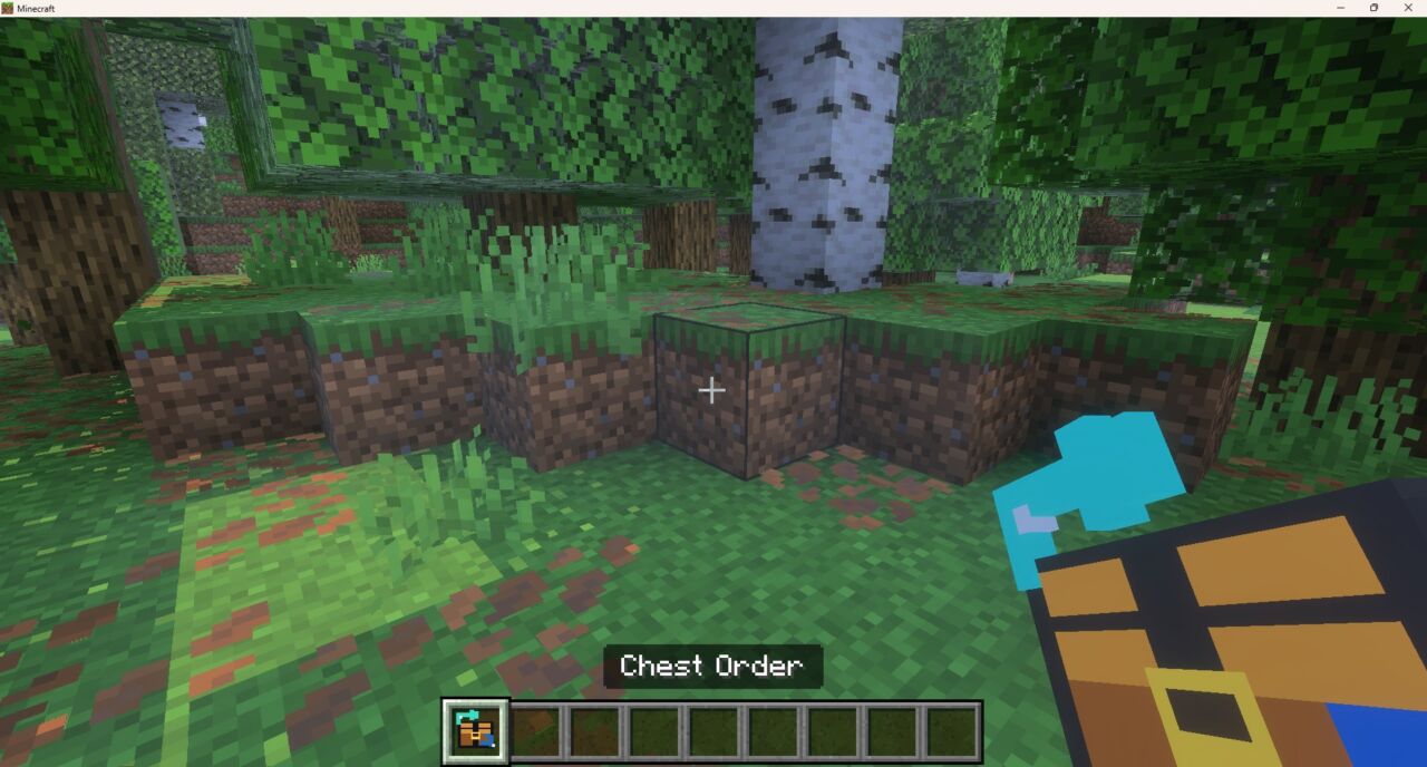 ワールドに入ってChest Orderの専用デバイスを受け取った様子