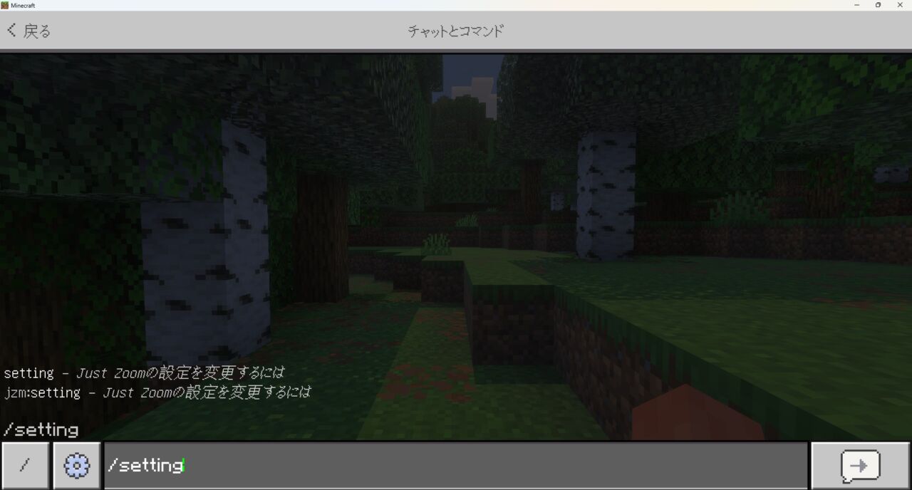 チャットで /setting と入力してJust Zoomの設定メニューを開いた画面