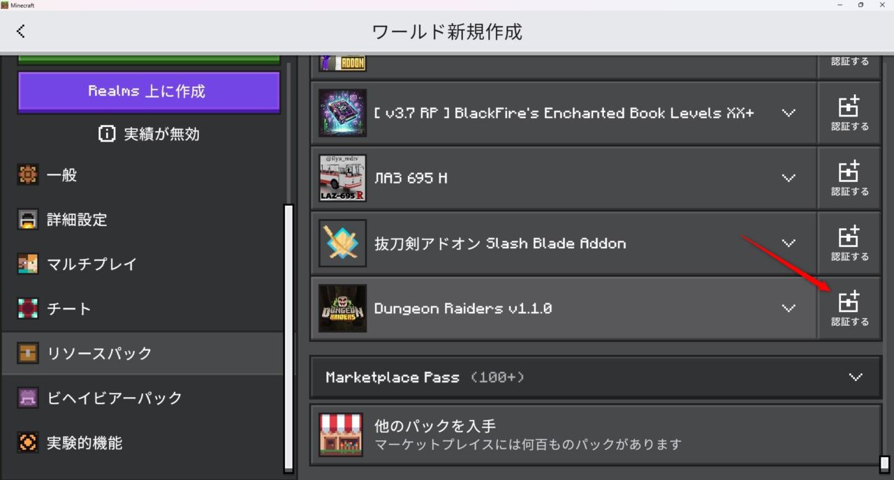 新規ワールドでDungeon Raidersのリソースパックを認証する画面