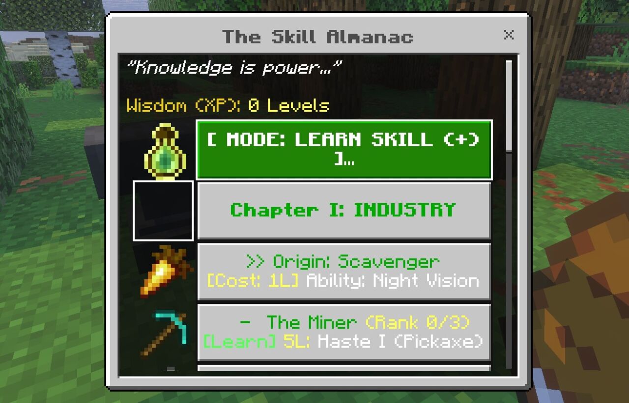 Skill Bookを使ってSkills+のスキルツリーを開いた画面
