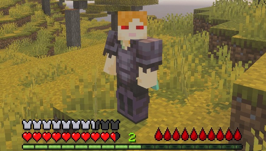 マイクラ統合版吸血鬼アドオン