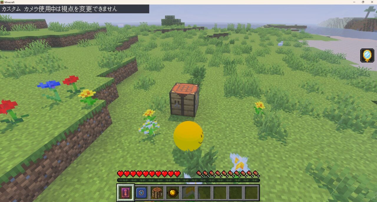 Morph Into Mobsでバニラのモブに変身したプレイヤー