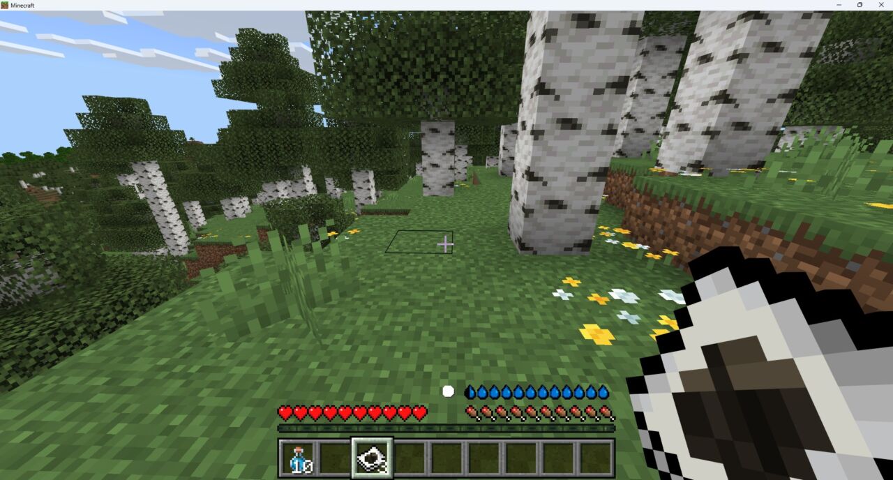 リアルアドオン「Realistic Survival」の入れ方6｜画面に水分ゲージと体温が表示された導入完了画面