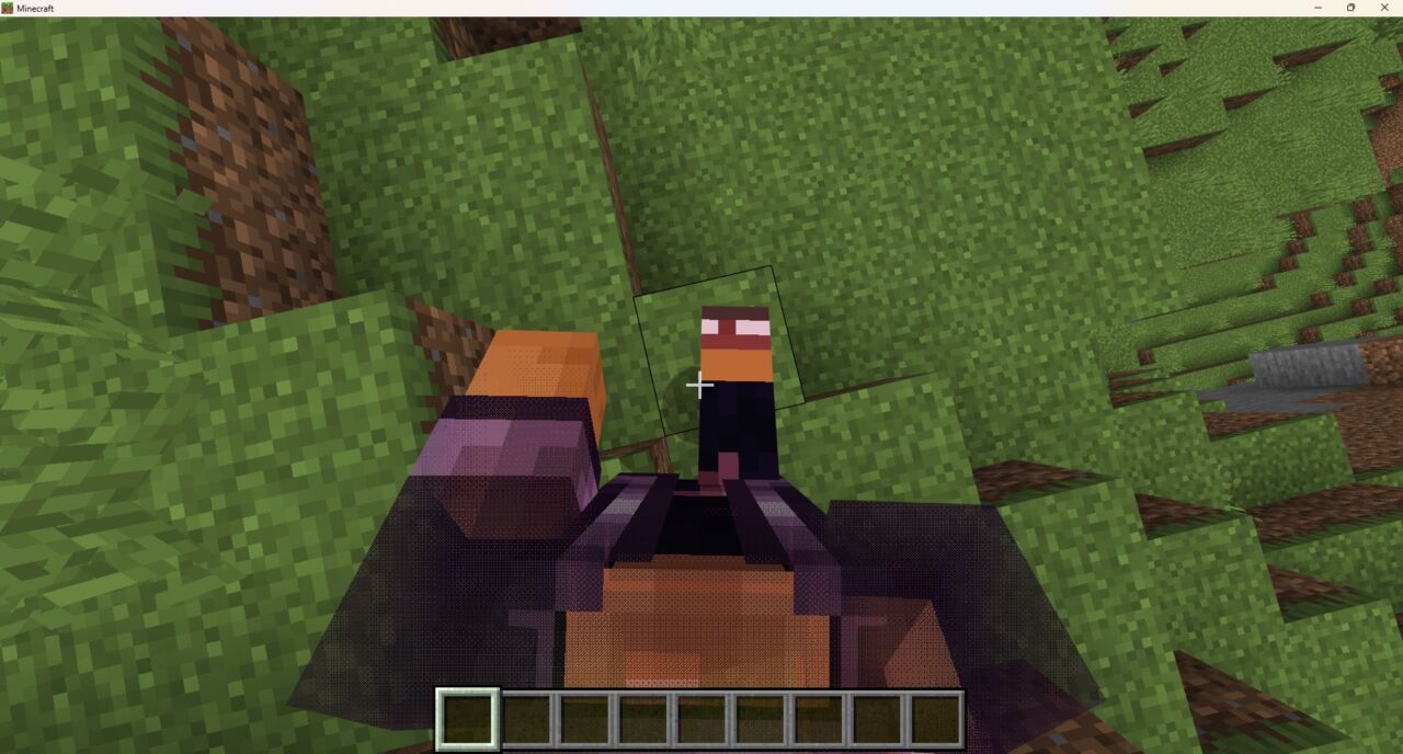 一人称視点で自分の胴と脚が表示されたマイクラの画面