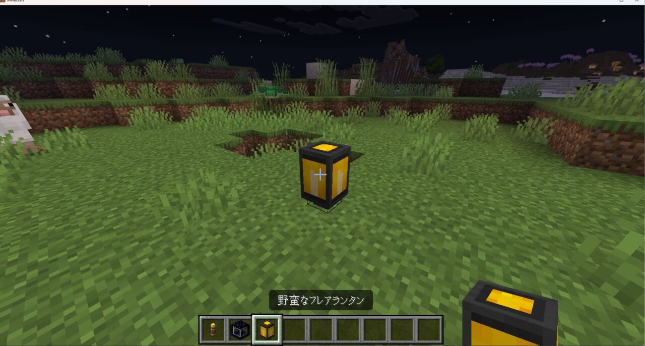 MaxTorchで湧き潰しをした拠点の周辺