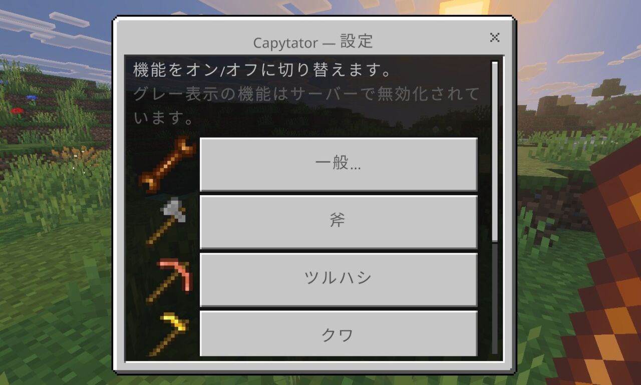 Capytatorの設定メニューで使いたい機能をオンにする画面