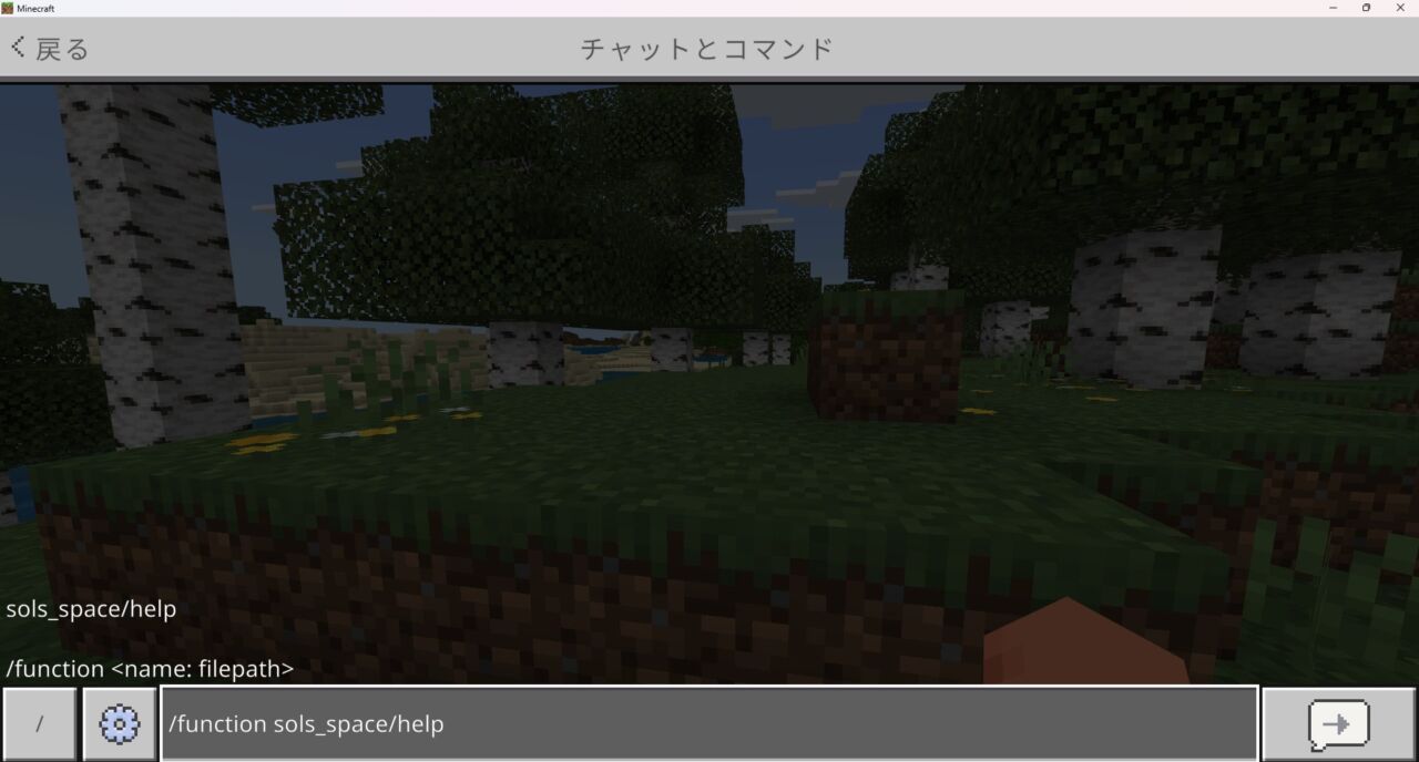 チャット欄に/function sols_space/helpを入力する